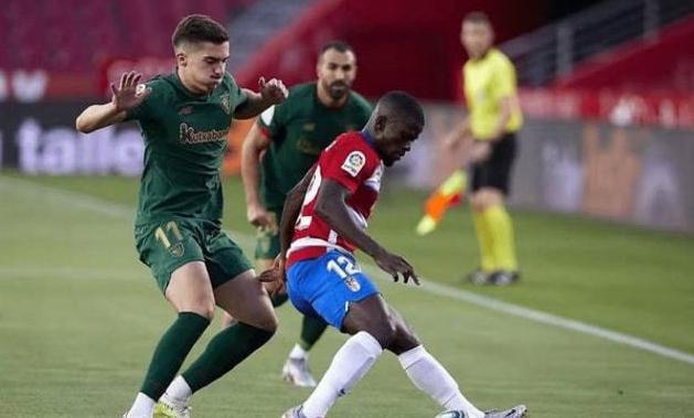 增添了新鲜 增添了新鲜